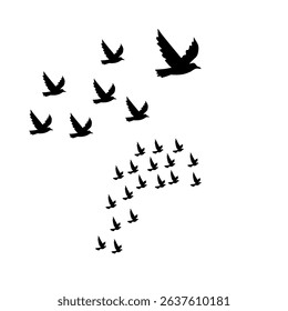 A 2 set of Birds flying in the sky evoke a sense of freedom, harmony, and the natural beauty of movement through open space.
