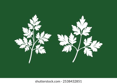 2 Set Chervil Vector Illustration Art.