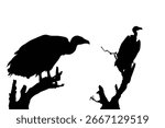 2 silhouette options of vultures