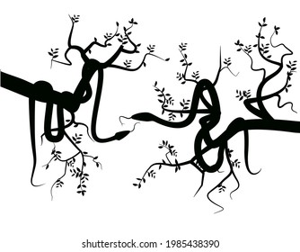 2 SNAKE IN TREE BRANCH VECTOR