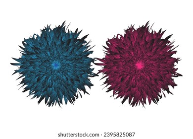 2 surreal exotic high quality flowers macro isolated on white. Greeting card objects for anniversary, wedding, mothers and women's day design | beautiful cosmos flower field | Vintage bouquet flower
