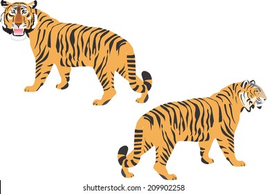 2 tigers