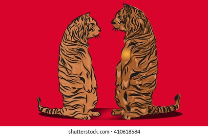 2 tigers sitting front to front