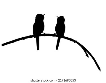 2 two couple pair birds on branch, eps vector silhouette