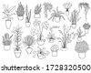 succulent pot illustration