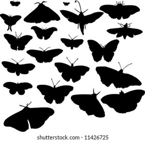 20 Butterflies