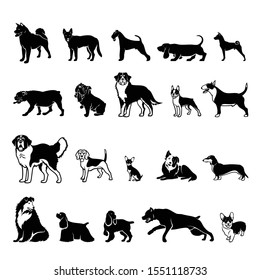 20 dog breed silhouettes - isolated vector illustration