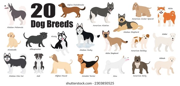 20 Dog Breeds. A collection of cute animals in colorful cartoon characters isolated on white background. Vector graphic illustration, flat style. svg
