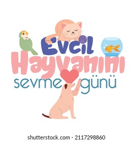 20 Şubat Evcil Hayvanını Sevme Günü
translation: 20 february, pet love day