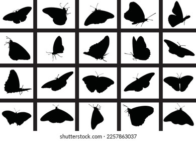 20 High Quality Vector Butterfly Bundle