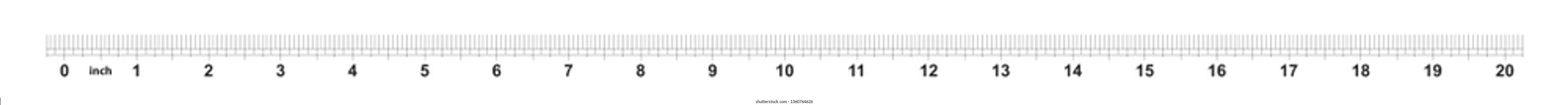 20 inch ruler