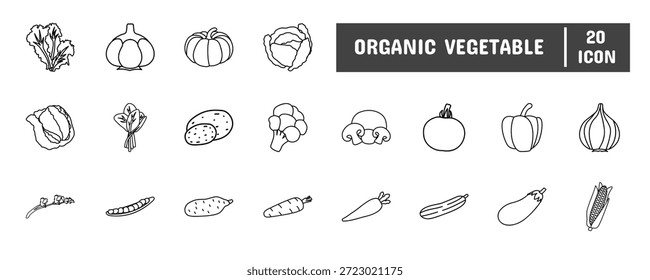 20 Organic Vegetable Line Icon Illustration Set