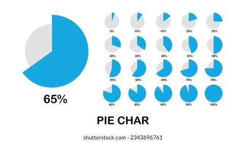 20 set pie chart percentage graph design, Infographic Vector 3d Pie Chart, Colorful circle percentage diagrams for infographic. webresource.