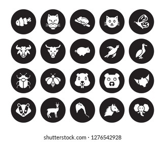 20 vector icon set : Clown fish, Alpaca, Anteater, Antelope, Badger, Butterfly, Bird, Beaver, Beetle, Buffalo, Chameleon isolated on black background