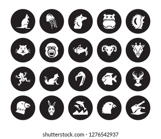 20 vector icon set : Kangaroo, Crow, Dolphin, Donkey, Eagle, Hedgehog, Goat, Flamingo, Frog, Gorilla, Horse isolated on black background