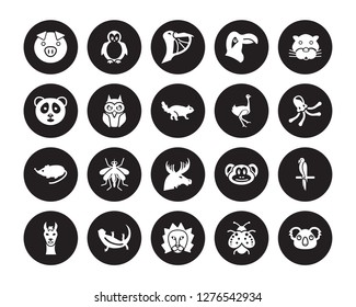 20 vector icon set : Pig, Ladybug, Lion, Lizard, Llama, Panther, Ostrich, Moose, Mouse, Owl, Pelican isolated on black background
