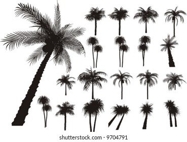 20 vector tropical palms and trees