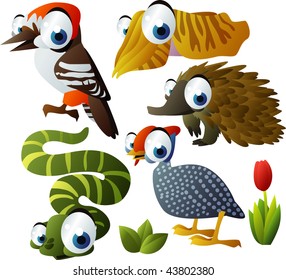 2010 animal set: woodpecker, echidna, cuttlefish, helmeted fowl, snake