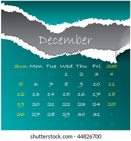 2010 december
