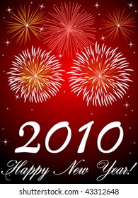 2010 Happy New Year!