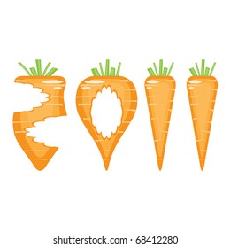 2011, made of carrots and their scraps, vector illustrations