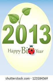 2013 Bio Year