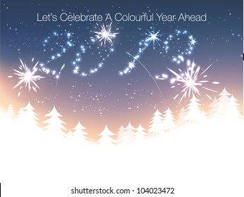 2013 New Year