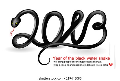 2013 - Year of the snake design. Vector illustration.