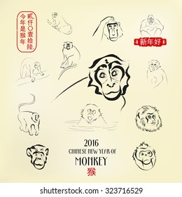 2016 Chinese Zodiac Ink Line Art in Oriental Style. Right side chinese seal translation: Happy New Year. Left side stamp interpretation: 2016 The Year of The Monkey. Hieroglyph below means Monkey