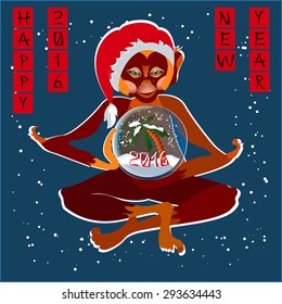 2016 Happy New Year! Greeting card with monkey and Christmas Snow Globe. EPS10 vector illustration.