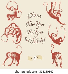 2016 Happy New Year Greeting Card. Hand Drawn Vector Illustration. Chinese Red Monkeys