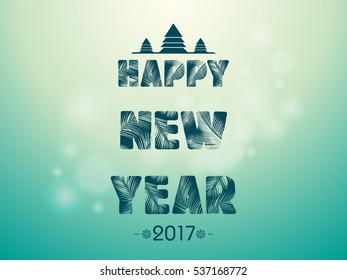 2017 New year  