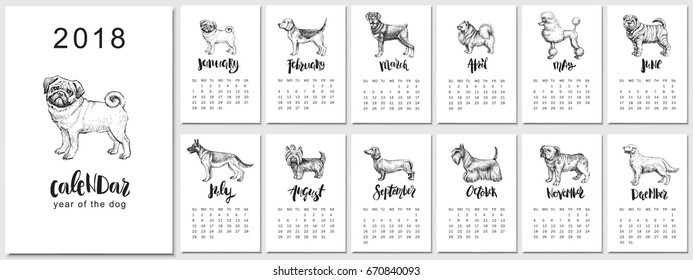 2018 vector calendar design. Hand drawn llustrations with dogs, symbol of Chinese New Year and monthly hand written modern calligraphy. 