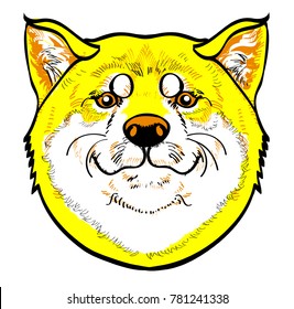 2018 Yellow dog shiba inu