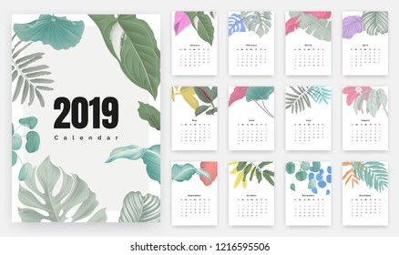 2019 calendar design, set of botanical illustrations for 12 months