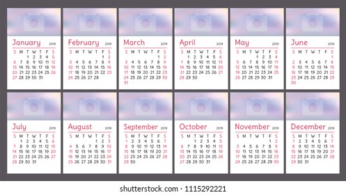 2019 calendar. English calender. Сolor vector template. Week starts on Sunday. New year minimal table. Simple cute design