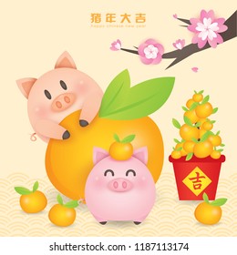 2019 Chinese New Year, Year of Pig Vector with 2 cute piggy with tangerine and blossom tree.  (Translation: Auspicious Year of the pig)