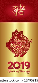 2019 Chinese new year, year of the pig. Template for greeting card,  invitation or gift envelope for money.  Vector illustration in red and gold colors. Hieroglyph means year of the pig.