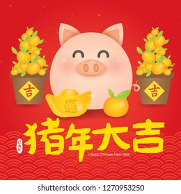2019 Chinese New Year, Year of Pig Vector Illustration. (Translation: Auspicious Year of the pig)