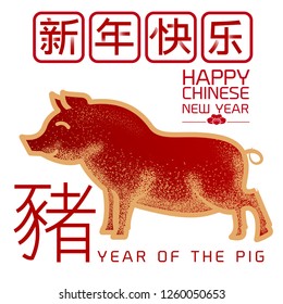 2019 Chinese new year 2019. Zodiac sign year of the pig.(Chinese Translation : Happy new year, Pig) Vector illustration.
