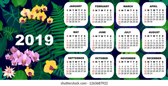 2019 colorful calendar with blooming yellow orchids and fern leaves. Simple template on tropical background. Trendy stationery design.