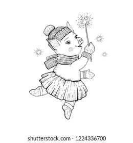 2019 Cute pig. New year animal symbol, baby piglet in tutu. Merry Christmas cartoon pet icon. Happy dancing piggy for Girl t-shirt print, winter greeting card. Hand drawn vector illustration isolated 