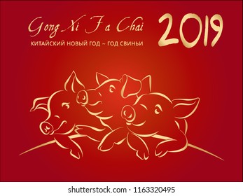 2019 Happy Chinese New Year, greeting card with 3 gold pigs, Russian translation GONG XI FA CAI (Wish you prosperity in the new year) on red gradient background, hand drawn vector illustration.