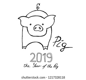 2019 lettering in drawn pig on white background. 2019 year of pig. simple concept zodiac of pig. Stock vector illustration.