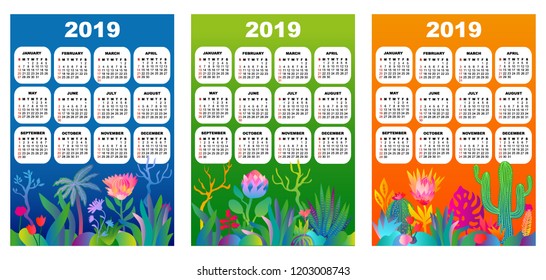 2019 pocket calendars. Simple template on colorful background with tropical plants and flowers. Trendy stationery design. On colorful background.