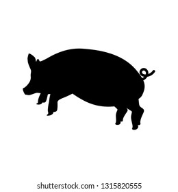 2019. The symbol of the new year. Pig. Chinese New Year. For your design.