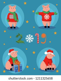 2019 Year of the Pig. Four cute characters of pigs wearing sweaters, Santa's hat, scarfs. with a new year and christmas mood. Vector illustration.