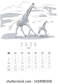 2020 calendar with drawing animal designs