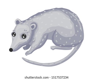 2020 Chinese Rat. Zodiac sign. Horoscope symbol. Cute hand drawn animal character. Chinese calendar for the new year of rat 2020. Flat cartoon vector illustration isolated on white background.