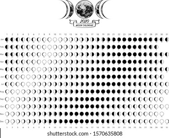 Gráfico vectorial de astronomía blanca de las fases lunares de 2020